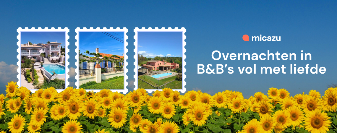 B&B's vol met liefde B&B's vol met liefde overnachting