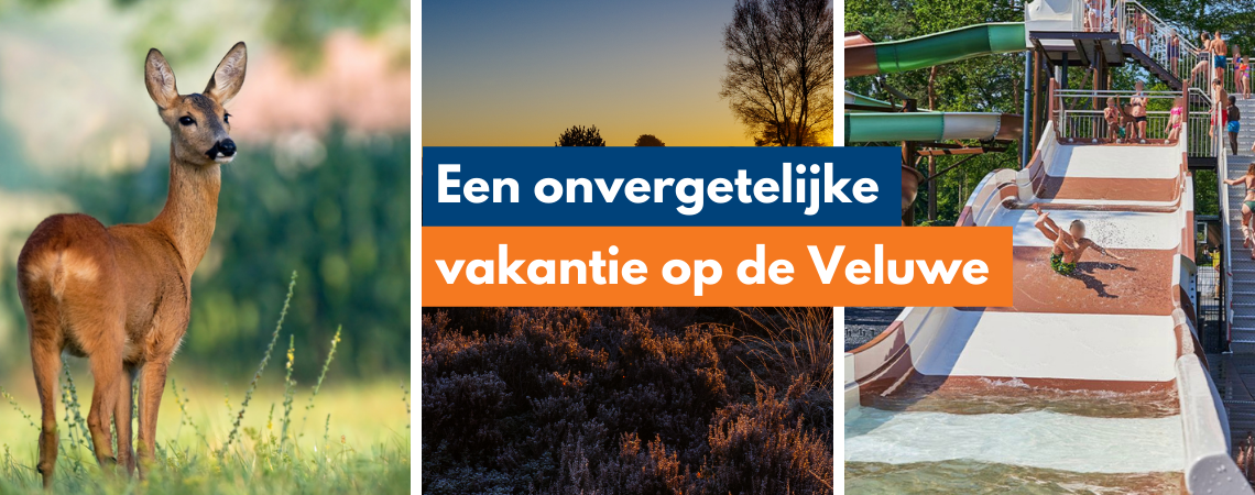 Nederland: Een onvergetelijke vakantie op de Veluwe