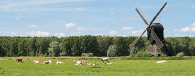 De mooiste fietsroutes in Nederland