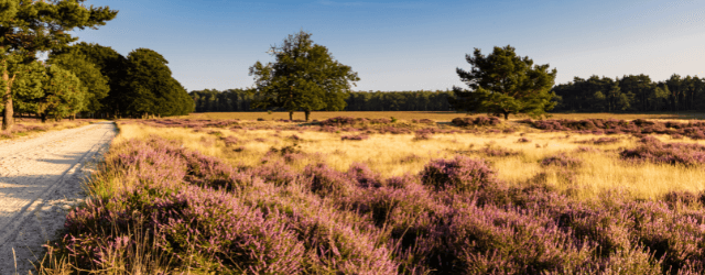 De mooiste fietsroutes in Nederland