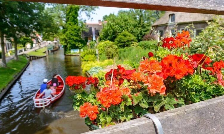 Onze zomer top 5